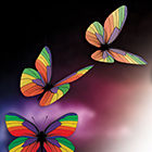 Butterfly in rainbow colors.