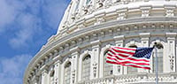 Capital dome with flag.