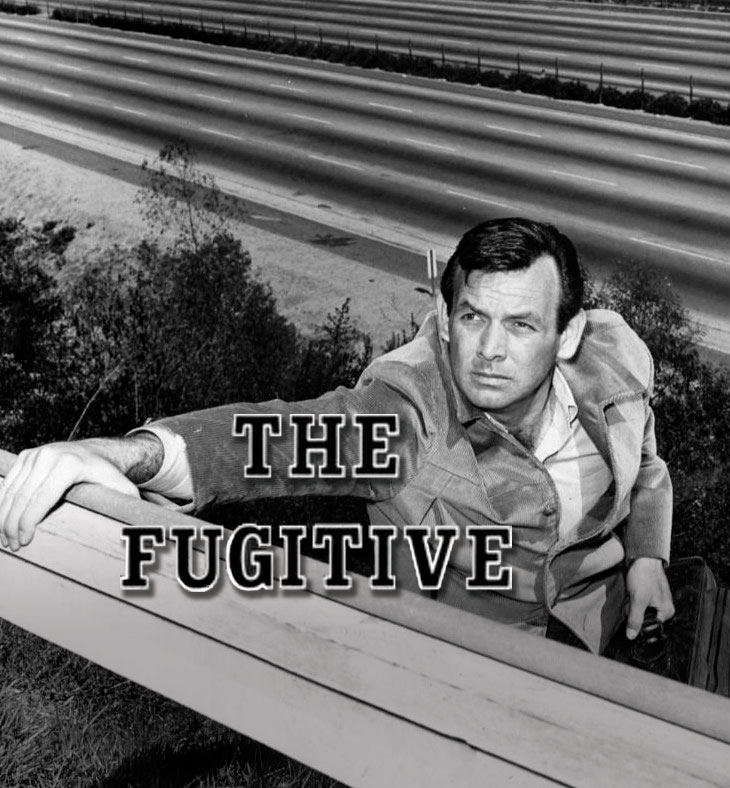 the fugitive tv show