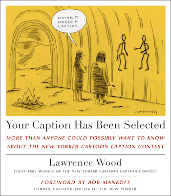 Your Caption Has Been Selected book cover_400px
