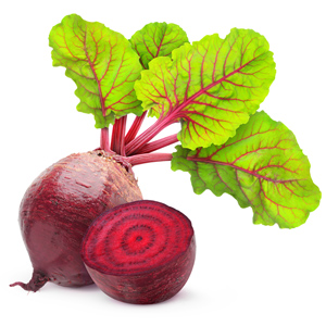 A beet with leafy top