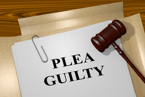 guilty plea and gavel