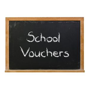 A blackboard with the term school vouchers written in chalk